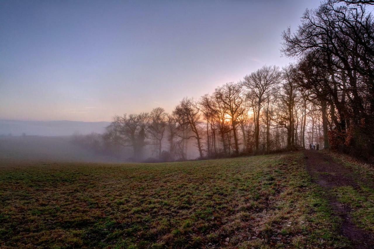 Ferienwohnung-Malanders Andernach Exteriér fotografie
